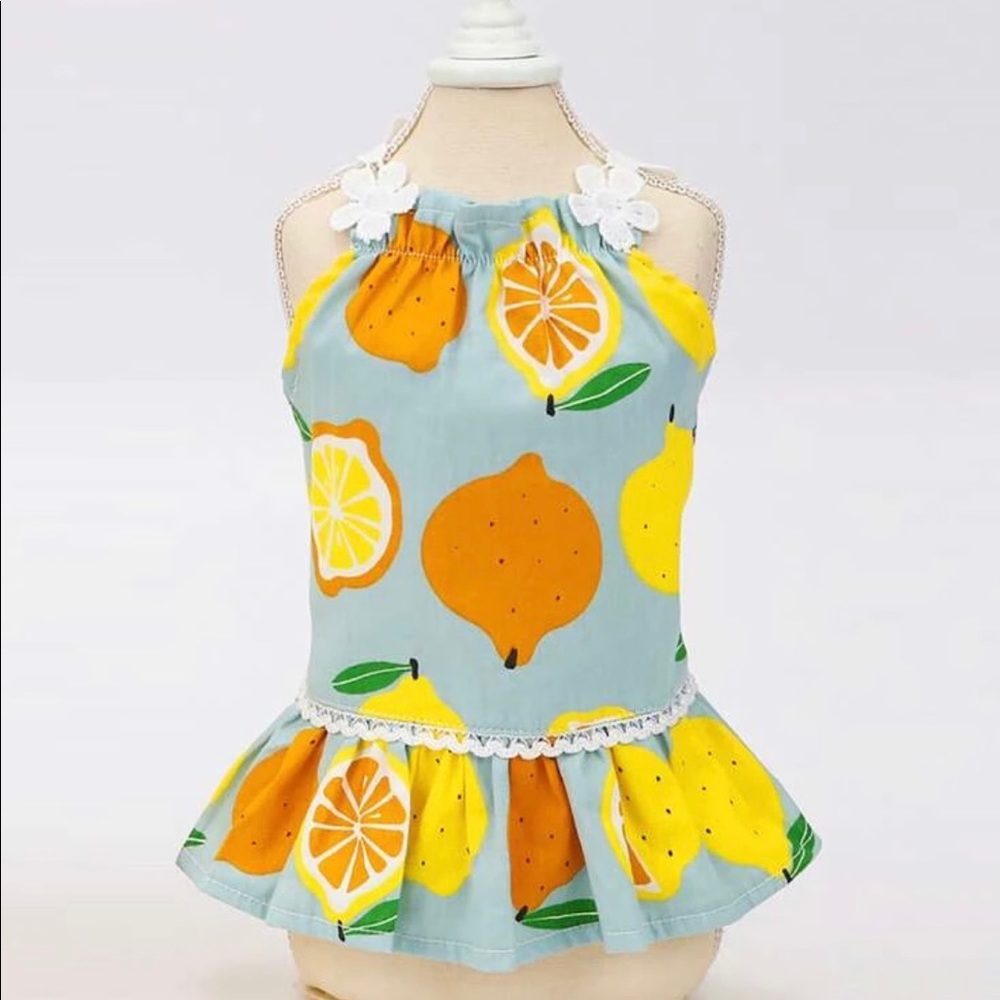 Lemon Print Dog Dress